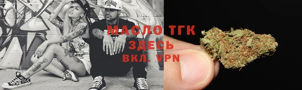 2c-b Каменка