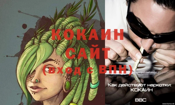 шишки Инсар