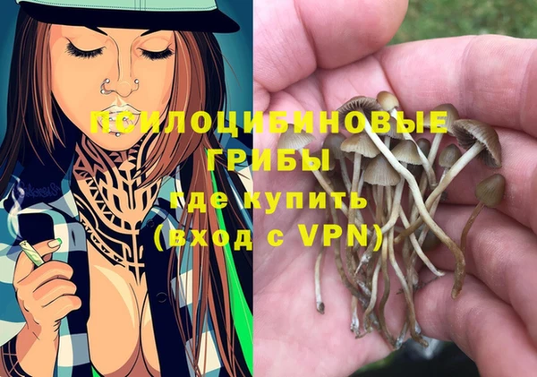 spice Медвежьегорск