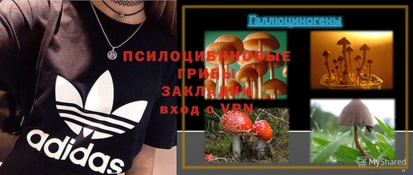 spice Медвежьегорск