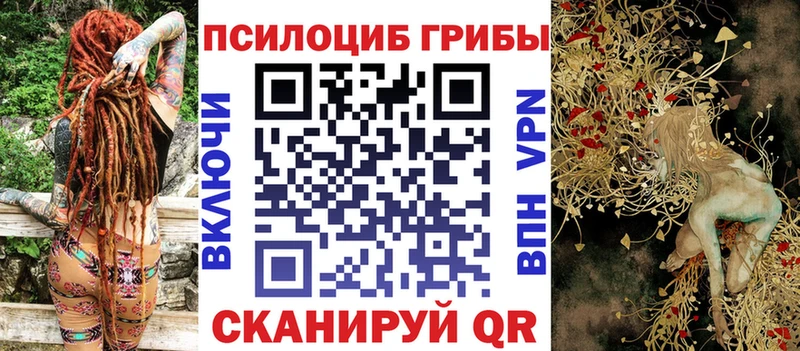 KRAKEN зеркало Якутск Галлюциногенные грибы Psilocybine cubensis где продают