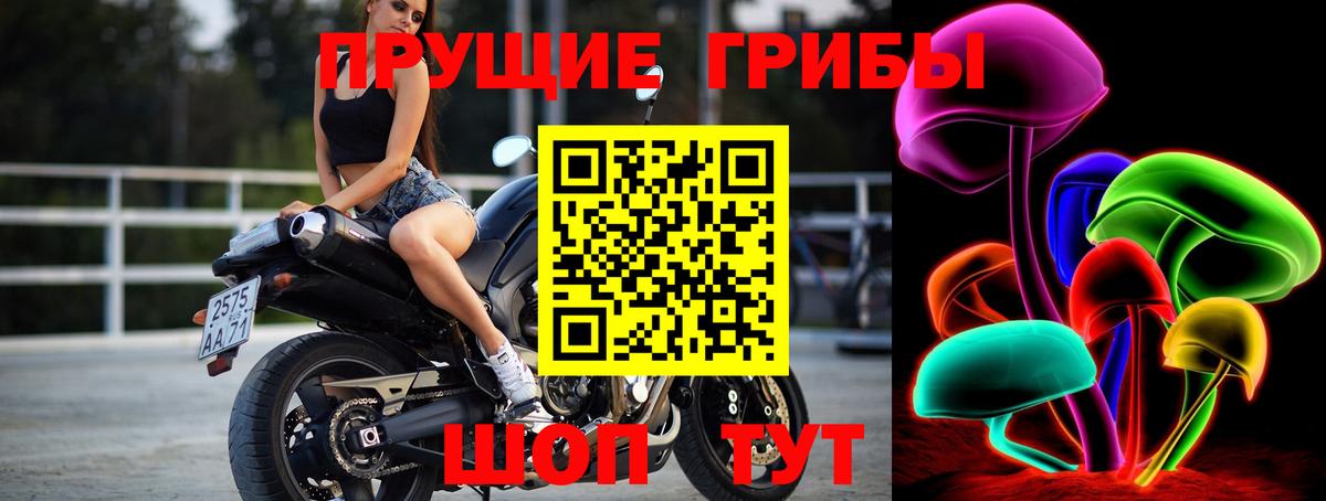 Якутск  Галлюциногенные грибы Psilocybine cubensis  Вход с VPN  наркошоп  Псилоцибиновые грибы ЛСД 